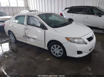 2010 TOYOTA COROLLA LE White  Gasoline 2T1BU4EE7AC517991 photo #1