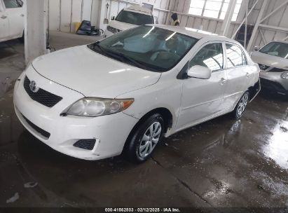 2010 TOYOTA COROLLA LE White  Gasoline 2T1BU4EE7AC517991 photo #3