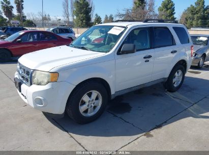 2010 FORD ESCAPE XLT White  Flexible Fuel 1FMCU0DG2AKA30448 photo #3