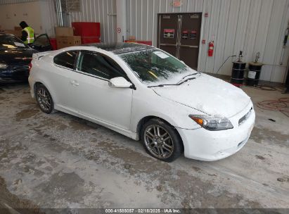 2007 SCION TC White  Gasoline JTKDE177670180132 photo #1