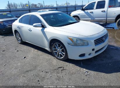 2011 NISSAN MAXIMA 3.5 SV White  Gasoline 1N4AA5AP7BC858373 photo #1