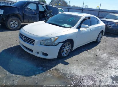 2011 NISSAN MAXIMA 3.5 SV White  Gasoline 1N4AA5AP7BC858373 photo #3