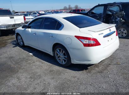 2011 NISSAN MAXIMA 3.5 SV White  Gasoline 1N4AA5AP7BC858373 photo #4