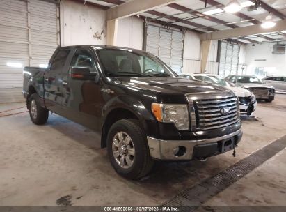 2010 FORD F-150 FX4/HARLEY-DAVIDSON/KING RANCH/LARIAT/PLATINUM/XL/XLT Black  Flexible Fuel 1FTFW1EV9AFB39853 photo #1