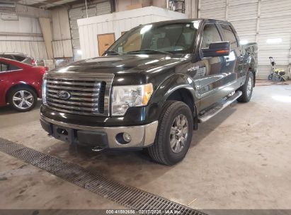 2010 FORD F-150 FX4/HARLEY-DAVIDSON/KING RANCH/LARIAT/PLATINUM/XL/XLT Black  Flexible Fuel 1FTFW1EV9AFB39853 photo #3