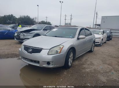 2008 NISSAN MAXIMA 3.5 SL Silver  gas 1N4BA41E58C802552 photo #3