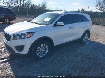 2016 KIA SORENTO 2.4L LX White  Gasoline 5XYPG4A31GG117925 photo #3