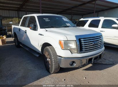 2010 FORD F-150 FX2 SPORT/XL/XLT White  Gasoline 1FTEW1C81AFD22804 photo #1