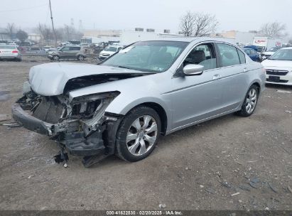 2010 HONDA ACCORD 2.4 EX-L Silver  Gasoline 1HGCP2F81AA024709 photo #3