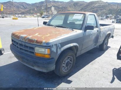 1992 DODGE DAKOTA Silver  Gasoline 1B7FL26X7NS695090 photo #3