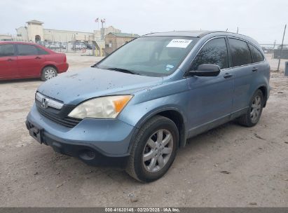 2007 HONDA CR-V EX Blue  Gasoline JHLRE48587C069269 photo #3