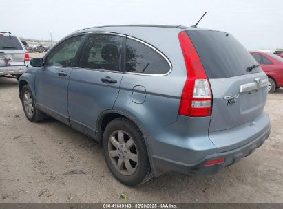 2007 HONDA CR-V EX Blue  Gasoline JHLRE48587C069269 photo #4