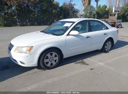 2010 HYUNDAI SONATA GLS White  Gasoline 5NPET4AC5AH641971 photo #3