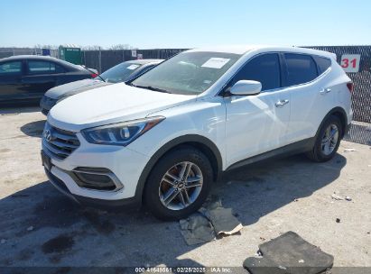 2017 HYUNDAI SANTA FE SPORT 2.4L White  Gasoline 5NMZT3LB4HH041238 photo #3