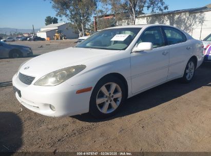 2005 LEXUS ES 330 White  Gasoline JTHBA30G555137805 photo #3