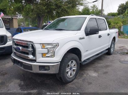 2016 FORD F-150 XLT White  Gasoline 1FTEW1EG2GKF41260 photo #3