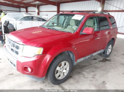 2010 FORD ESCAPE LIMITED Red  Flexible Fuel 1FMCU0EG5AKB77443 photo #3