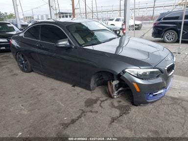 2014 BMW 228I WBA1F5C5XEV255284 photo #1