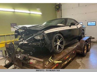 2C3CDYAG4DH509820 DODGE CHALLENGER Photo 1