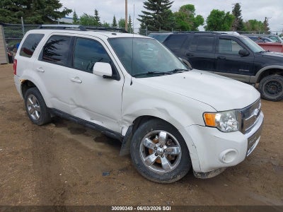 FORD ESCAPE 2009. Lot# 30090349. VIN 1FMCU94G19KA98076. Photo 1