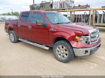 FORD F150 2014. Lot# 30091239. VIN 1FTFW1EF6EKE48427. Photo 1