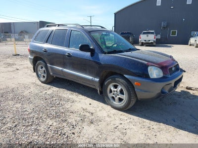 HYUNDAI SANTA FE 2003. Lot# 30091399. VIN KM8SB73D73U564036. Photo 1