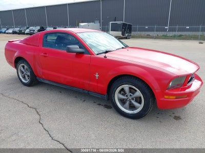 FORD MUSTANG 2007. Lot# 30091716. VIN 1ZVFT80N775291005. Photo 1