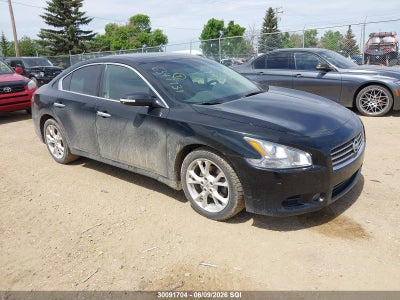 NISSAN MAXIMA 2009. Lot# 30091704. VIN 1N4AA51EX9C809919. Photo 1