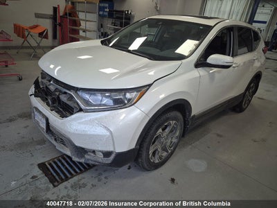2HKRW2H82KH105981 HONDA CR-V Photo 1