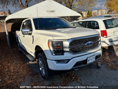 FORD F150 2022. Lot# 40071983. VIN 1FTFW1ED2NFB15052. Photo 1