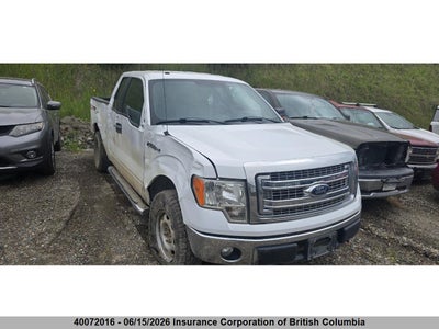FORD F150 2013. Lot# 40072016. VIN 1FTFX1EF1DKF56384. Photo 1