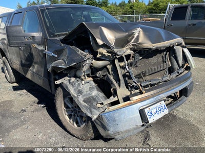 FORD F150 2009. Lot# 40073290. VIN 1FTRW14819FA82407. Photo 1