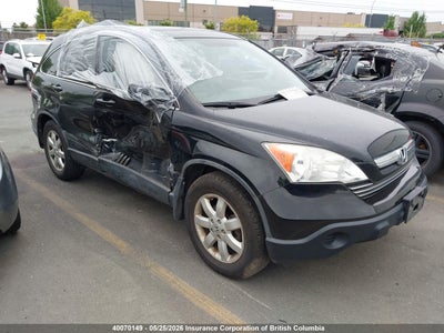 HONDA CR-V 2009. Lot# 40070149. VIN 5J6RE48779L806795. Photo 1