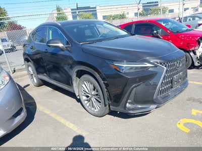 LEXUS NX 350H 2023. Lot# 40073686. VIN 2T2GKCEZ0PC015028. Photo 1
