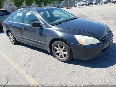 HONDA ACCORD 2004. Lot# 40073988. VIN 1HGCM66444A801563. Photo 1