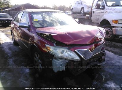 Used 2010 Toyota Camry For Sale Salvage Auction Online Iaa