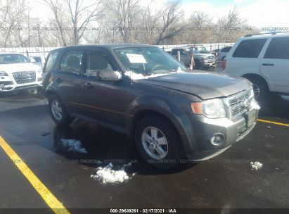 Used 2012 Ford Escape For Sale Salvage Auction Online Iaa