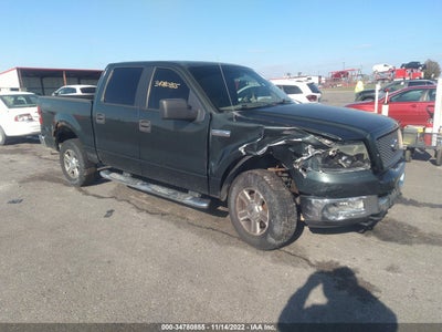 2005 FORD F-150 VIN: 1FTPW145X5FA93171