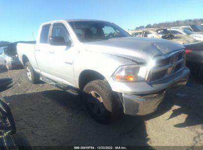 2009 DODGE RAM 1500 SLT for Auction - IAA