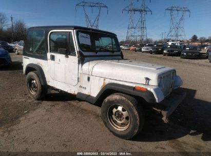 1991 JEEP WRANGLER / YJ for Auction - IAA