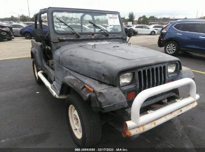 1993 JEEP WRANGLER / YJ S for Auction - IAA