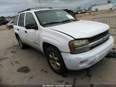 2002 CHEVROLET TRAILBLAZER VIN: 1GNDS13S322328154