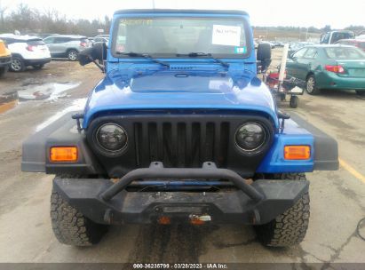 2003 JEEP WRANGLER X for Auction - IAA