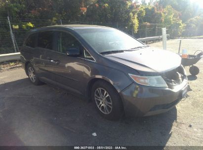 5FNRL5H46DB019503 2013 HONDA ODYSSEY - Image 1