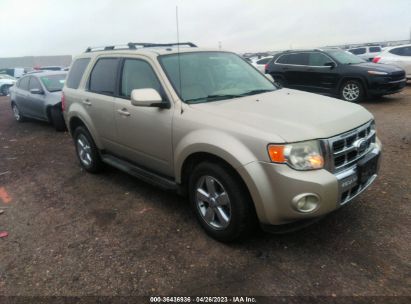 1FMCU0EG3AKD48688 2010 FORD ESCAPE, photo no. 1