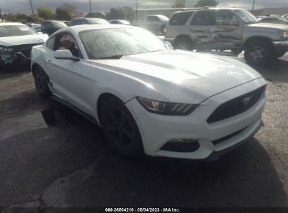 FORD-MUSTANG-1FA6P8AM7F5395950