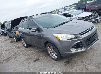 FORD-ESCAPE-1FMCU0HX1DUC51381