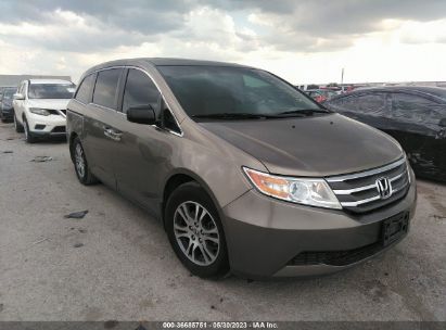 HONDA-ODYSSEY-5FNRL5H6XDB023300