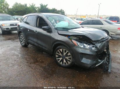 1FMCU0BZXLUB91772 2020 FORD ESCAPE, photo no. 1