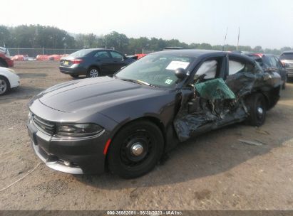 2019 DODGE CHARGER POLICE AWD for Auction - IAA